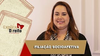 Explica Direito Filiação Socioafetiva  2019 [upl. by Ikaz749]