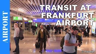 TRANSIT WALK AT FRANKFURT Airport FRA Terminal 1  Connection Flight Transfer Arriving amp Departing [upl. by Anaes]